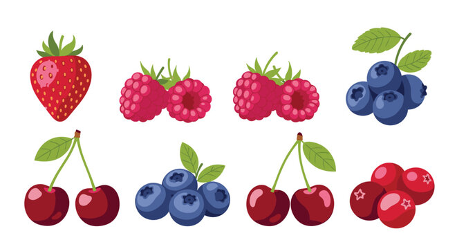 Assorted fresh garden berries including a strawberry, raspberries, blueberries, cherries, and cranberries shown in a flat style.