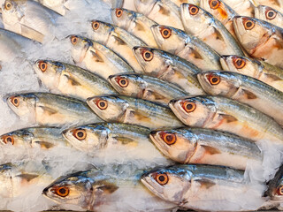 Obraz premium Fresh mackerel and pomfret fish displayed at a traditional seafood market, showcasing a variety of fresh marine seafood commonly consumed in Asian cuisine.