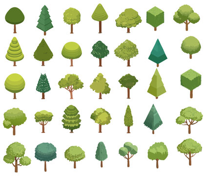 Set of Isometric Polygon Tree Icons for Architectural Visualization