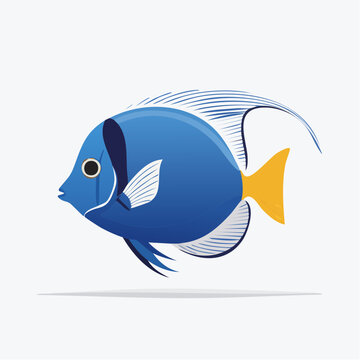 Blue Tang Fish Illustration