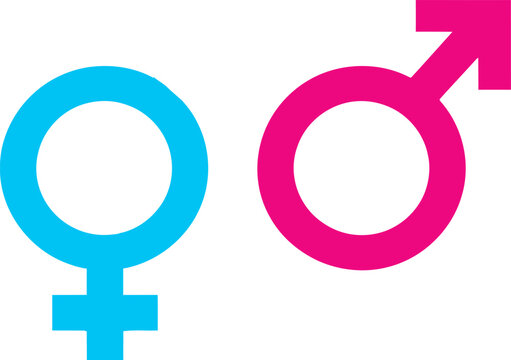 Simple graphic representation of the female and male gender symbols, colored blue and pink respectively, isolated on a clean white background.