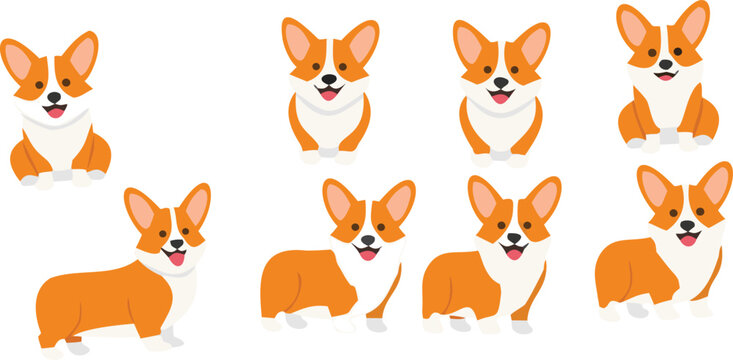 Corgi dog vector set with cute cartoon puppies in different poses, adorable pet collection for animal lovers, kids illustration and design