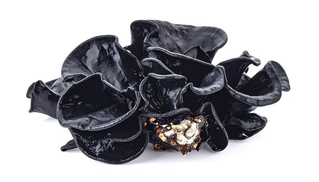 A black scrunchie with a gold and white hair tie