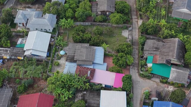 Professional 4K drone top-down shot of a rural Thai village, featuring a central concrete road splitting traditional houses and lush tropical fruit gardens in Chiang Mai.