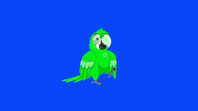 A cheerful two-dimensional green parrot mascot with white feathers around its eyes stands in place against a solid blue backdrop. This pre-keyed tropical bird animation is optimized for children's edu
