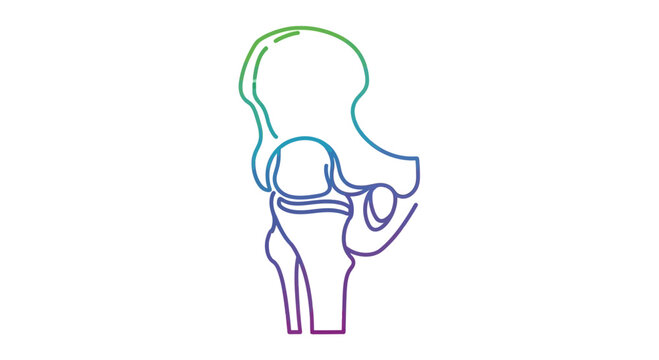 Anatomical illustration of the hip joint and femur bone, gradient outline