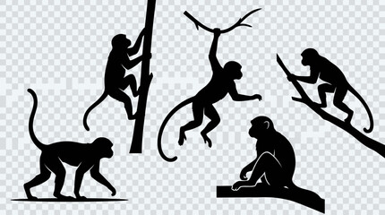 Multiple monkey silhouettes in side profile, solid black shapes. © Dini