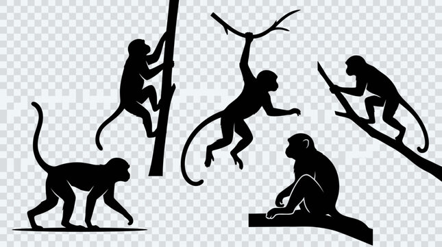Multiple monkey silhouettes in side profile, solid black shapes.