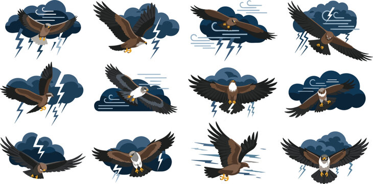 Eagle storm action illustration vector set with flying birds thunder clouds lightning and wind for wildlife and dramatic nature design
