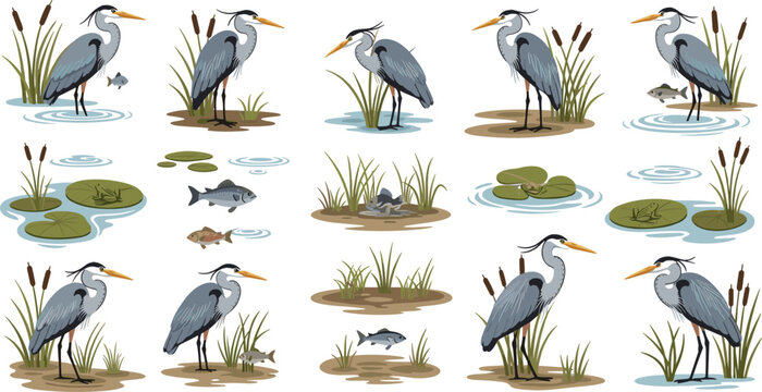 Heron wetland scene icons vector set with wading birds fish reeds and lily pads for nature and wildlife illustration