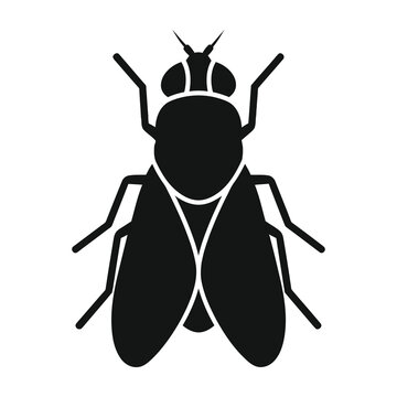 Black fly insect silhouette graphic