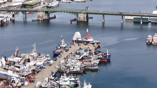 Aerial of Commercial fishing vessels at dock with Ballard Bridge  #055