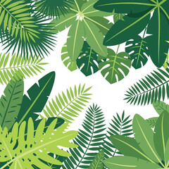 Tropical green leaves on white background. © Agos