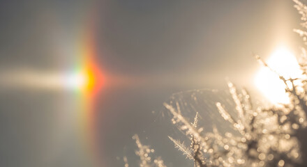 Naklejka premium Macro view of delicate morning frost illuminated by a bright sun flare, displaying the beautiful teamwork of light, ice, and temperature.