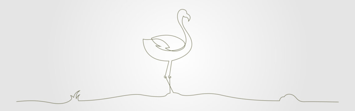 Flamingo continues as a single line drawing of a flamingo standing on land