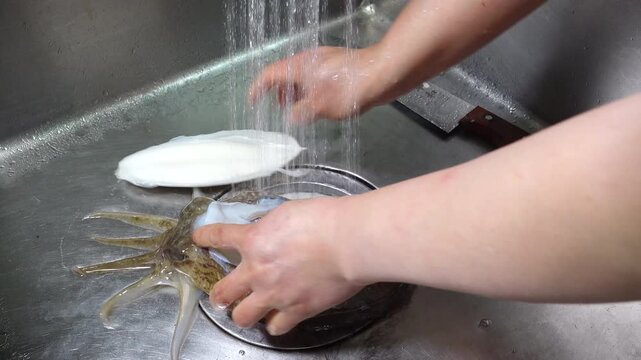Steamed Whole Cuttlefish Preparation and Dish Korea West Sea 갑오징어 통찜 준비 과정과 음식 한국 서해안