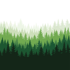 Evergreen trees in forest landscape scene. © Agos