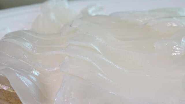 Fresh Cuttlefish Sashimi Korea West Sea 갑오징어 회 싱싱한 수산물 한국 서해안