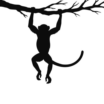 silhouette of a monkey jumping