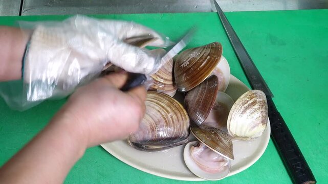 Fresh Oriental Hard Clam Sashimi Korea West Sea Tidal Flat 백합조개 회 싱싱한 조개회 한국 서해안 갯벌