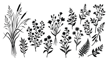 Fototapeta premium Set of black silhouettes of wild meadow flowers, herbs and grasses hand drawn vector illustration of floral elements