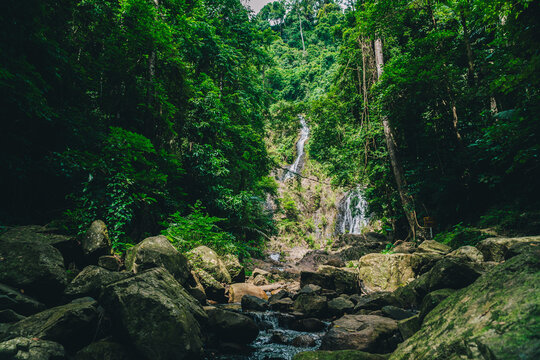 Tropical jungle waterfall flowing through dense rainforest with emerald natural pool