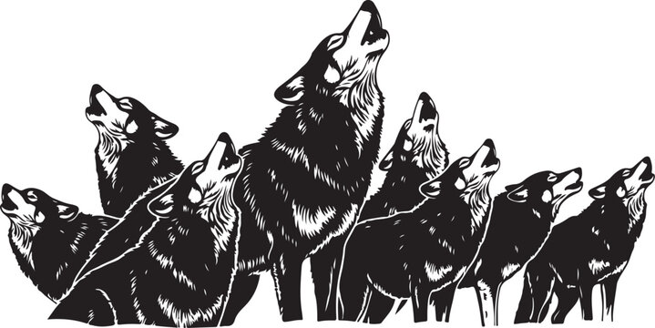 Black and white of a pack of wolves howling wolf animal