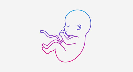 Fototapeta premium Fetus in womb, umbilical cord, pregnancy, development, new life, concept art, colorful outline