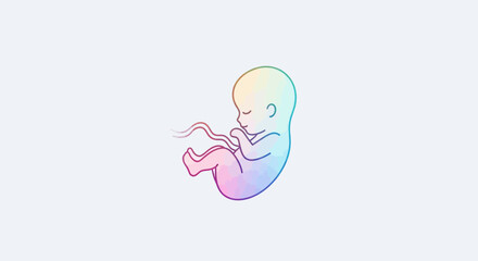 Fototapeta premium Colorful Fetus in Womb, Early Development, Human Embryo, Life Concept
