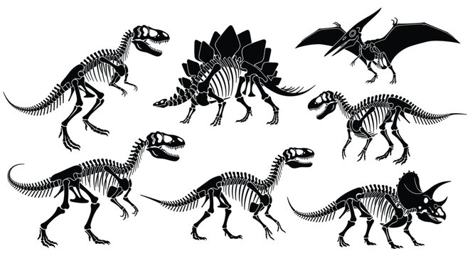 Collection of black silhouettes of various dinosaur skeletons including tyrannosaurus rex, stegosaurus, and triceratops for education.