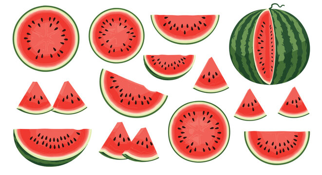 Large collection of watermelon illustrations including whole fruits, half sections, and various triangle slices with black seeds.