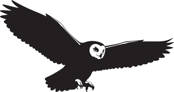Black and white owl flying with outstretched wings bird