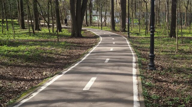jogging trail in the forest