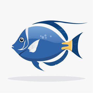 Blue Tang Fish Illustration