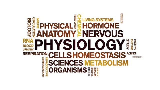 Physiology animated word cloud-text design animation tag kinetic typography seamless loop.