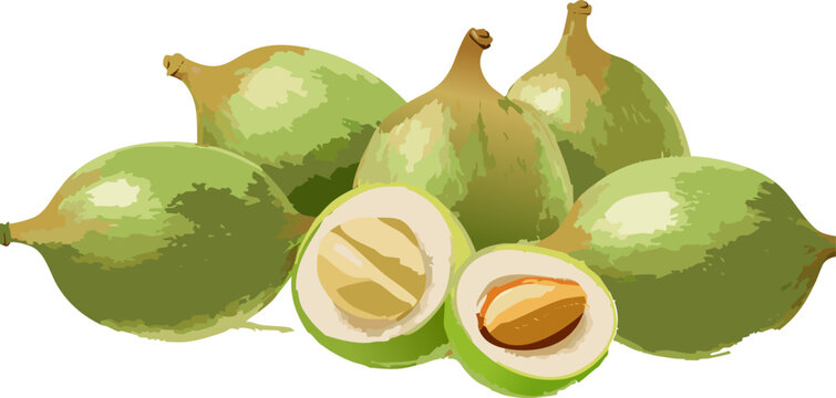 Tropical sweet fruit with detailed botanical design
