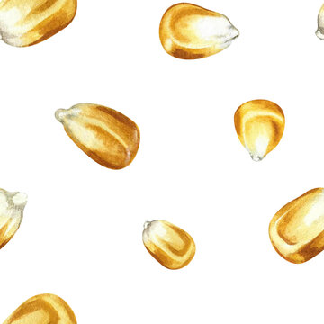 Seamless corn kernel pattern. Hand-drawn watercolor illustration. Perfect for textiles, decor, labels, packaging, prints, and more.