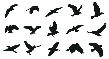 Fototapeta premium Collection of flying bird silhouettes against a white background