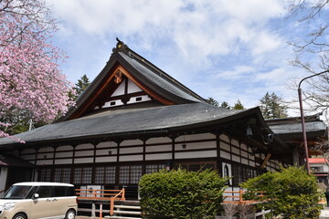 Fototapeta premium 軽井沢の静かな寺院と濃いピンクの桜の風景