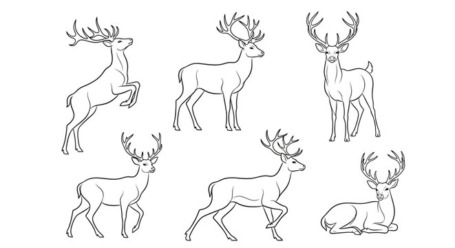 Deer set, collection of hand-drawn vector sketches for wildlife design