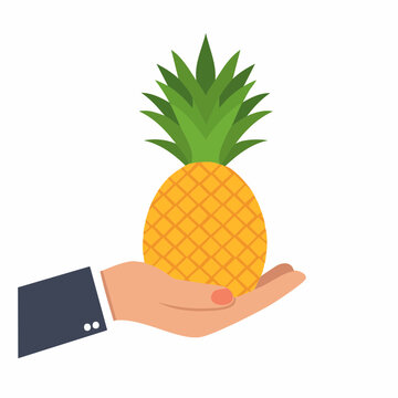 Hand holding a ripe pineapple