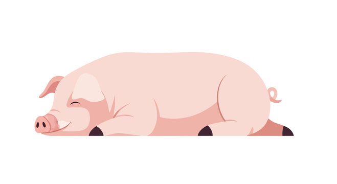 Cute Sleeping Pig Vector Illustration - Farm Animal Resting Peacefully