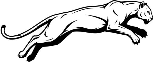 Dynamic black and white vector illustration of a powerful wild cat, a leaping cougar or panther, ideal for sports mascots, logos, or wilderness designs. © bububu