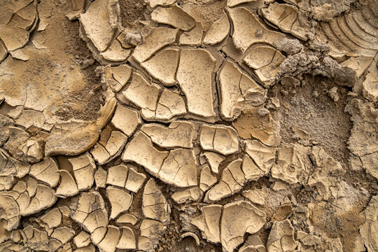 Cracked dried mud with footprint marks after flood in West Sumatra, Indonesia, showing human presence and natural texture formed by drying sediment