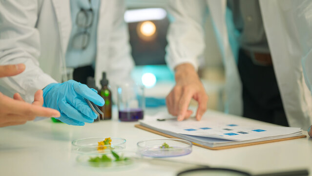 Scientists discuss botany and agriculture research while examining plant samples and data charts during a laboratory experiment focused on food and cultivation.