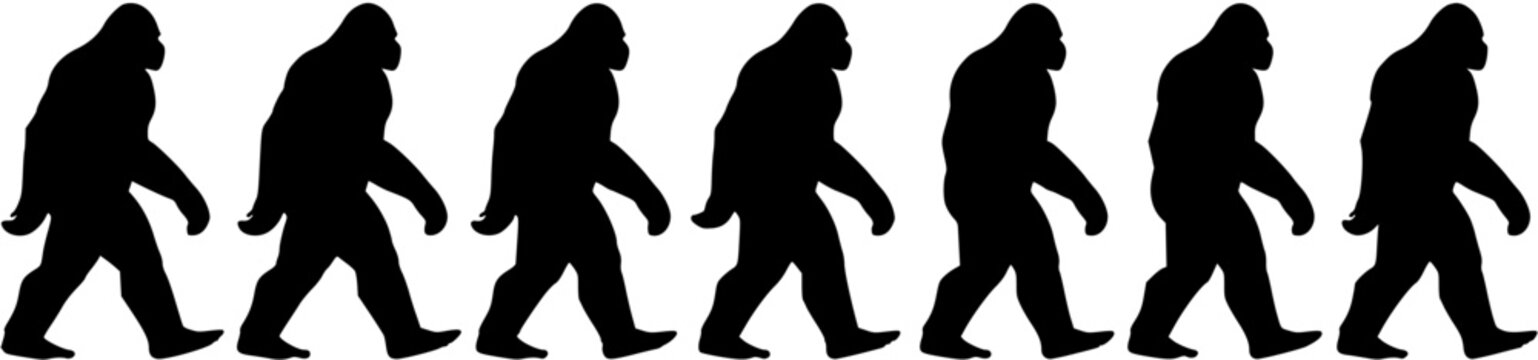 Black silhouettes of Bigfoot or Sasquatch figures walking in a row, a mysterious procession of mythical forest creatures.