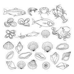 Obraz premium Assorted seafood and seashells drawn in clean line art on a white background, representing ocean nature and marine life concept