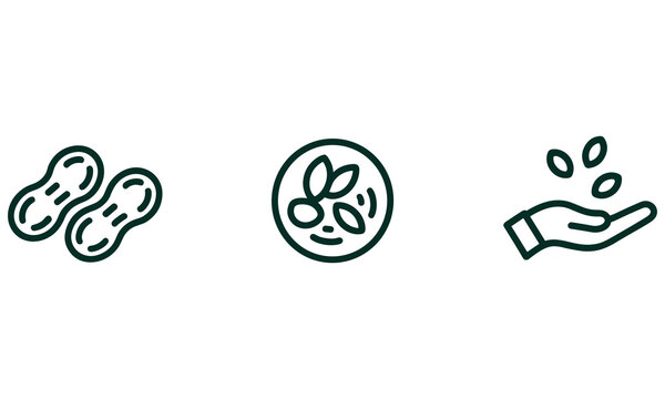 Peanut and nut related icons in linear style for food and agriculture industries showing peanuts and hands holding nuts on white background