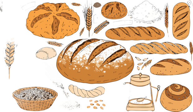 Artisanal Bakery Elements and Organic Cereal Illustrations.eps