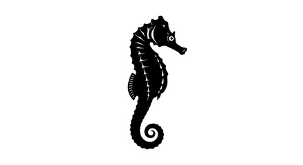 Seahorse black silhouette with detailed textures, isolated on white. © masss